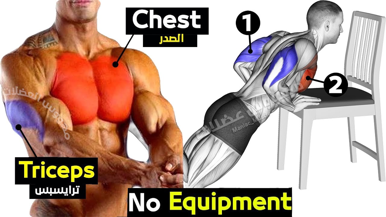 полная нагрузка на грудь с собственным весом / тренировка трицепса смотреть онлайн