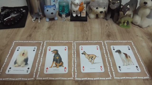 ?開封動画「The Dog Pack Oracle Cards」?あなたにオススメの「お仕事」?わんこたちに聞く?おおがみさんのわんわんリーディング【タロット・オラクルカードリーディング смотреть онлайн