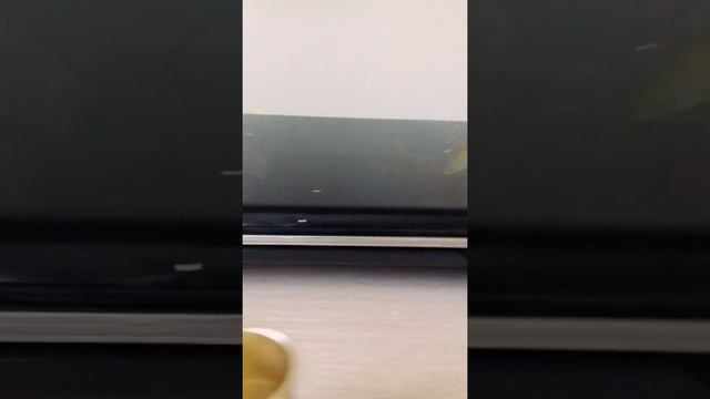 Два шариковых пластилина + смешанный лизуны и мини эксперимент 😮 смотреть онлайн