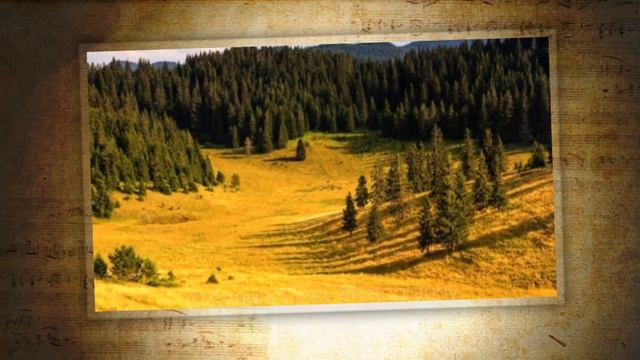 Костадин Петров - "Заспало е челебийче". Родопски мелодии. смотреть онлайн