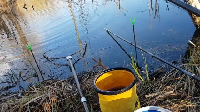 ЛОВЛЯ КАРАСЯ ВЕСНОЙ НА ПОПЛАВОЧНУЮ УДОЧКУ!Рыбалка на карася в коряжнике смотреть онлайн