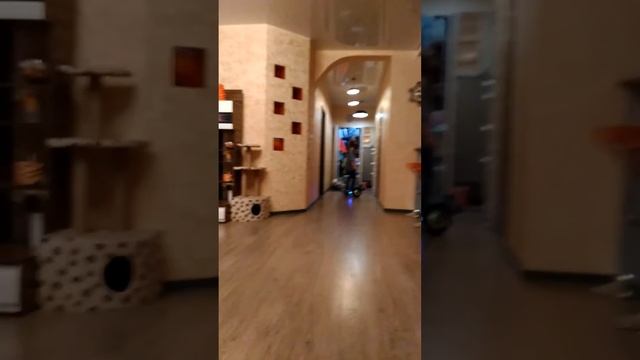 Я катаюсь на Гироскутере