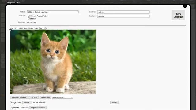 Uploading and cropping images using the drag and drop editor смотреть онлайн