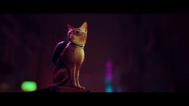 STRAY animated wallpaper screensaver смотреть онлайн