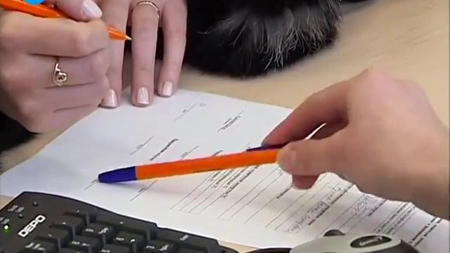 Порядок цен. КАСКО