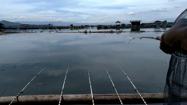 MANCING DI CIRATA PALUMBON rakit halimi// vc nya lucu #CIRATA #PALUMBON смотреть онлайн