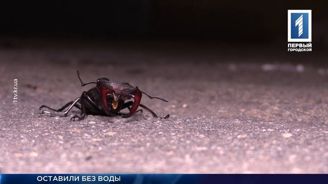 Отключили воду под покровом ночи смотреть онлайн