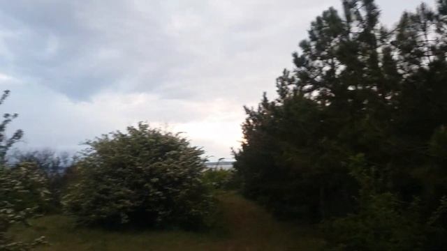 ЭКСТРИМ КАРАНТИН!!! Вылазка за грибами. Май 2020. смотреть онлайн