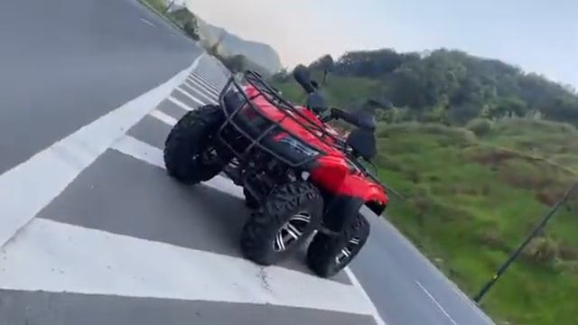 Квадроцикл PROMAX TRX320 (кардан) смотреть онлайн