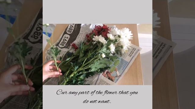 KEEPING YOUR FLOWER FRESH FOR MONTH | MCO EDITION
