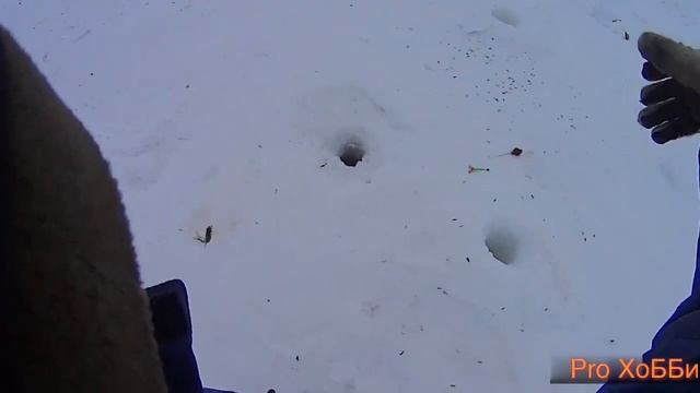 Атомный ледокол Таймыр, ловля корюшки. смотреть онлайн