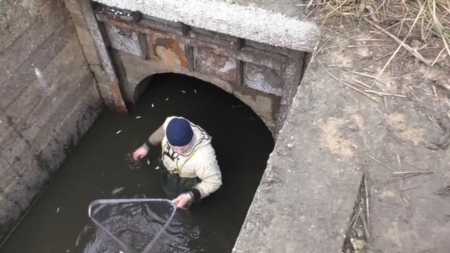 ЛОВЛЮ РЫБУ САЧКОМ прямо КАК В ДЕТСТВЕ! Хороший улов! смотреть онлайн