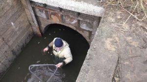 ЛОВЛЮ РЫБУ САЧКОМ прямо КАК В ДЕТСТВЕ! Хороший улов!