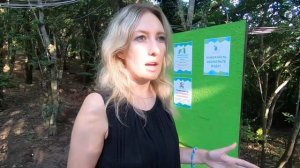 Обзор кемпинга Енот в Лермонтово