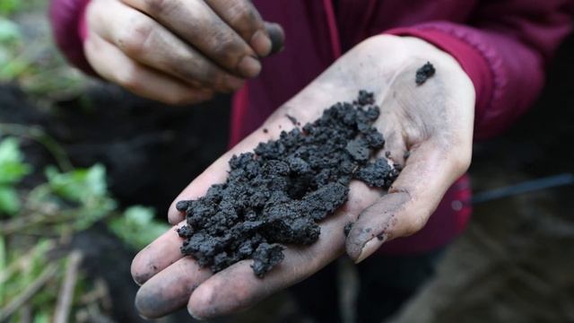 Как описывают морфологию почвенных горизонтов смотреть онлайн