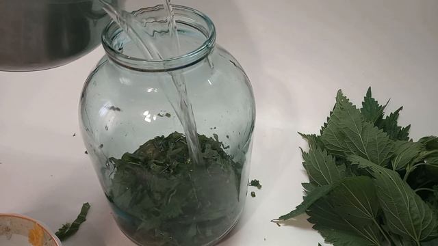 Крапивный квас.Сурица. смотреть онлайн