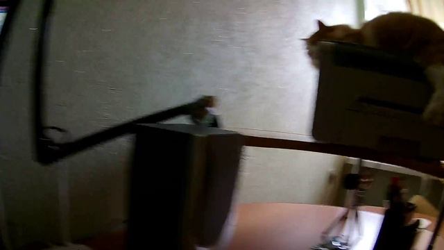 Тест камеры X-TRY XTC150 (2.7K 30fps) смотреть онлайн