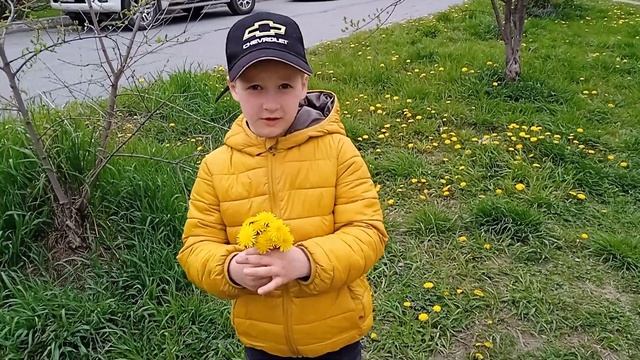 Букетик одуванчиков для мамы. Bouquet of dandelions for my mom. смотреть онлайн