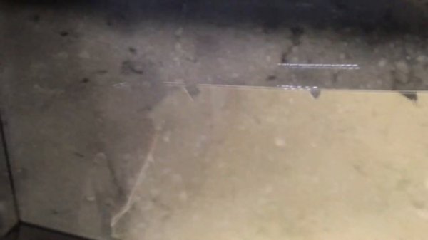 Audi Q5 - замена линз на диодные bi-led Expression