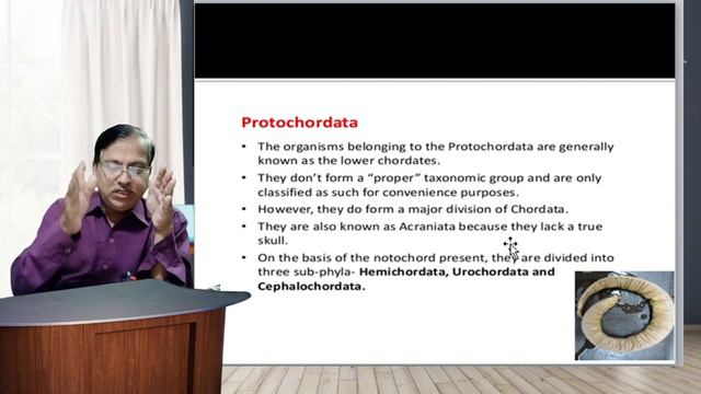 F.Y.BSc Unit- 1 Protochordates| General Features| Lecture- 2 смотреть онлайн