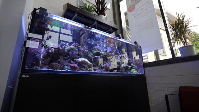 720L REEF TANK - REEF RELAX 4K