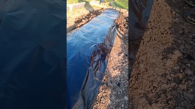 Посадка клубники на пленку смотреть онлайн