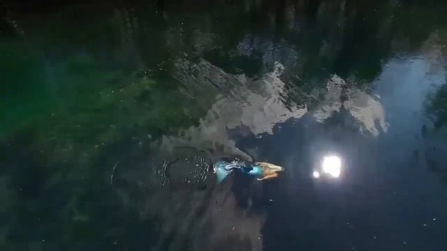 DENİZ KIZI Efsanesi Gerçek Mi ? (Kameraya Yakalanmış Deniz Kızları) смотреть онлайн