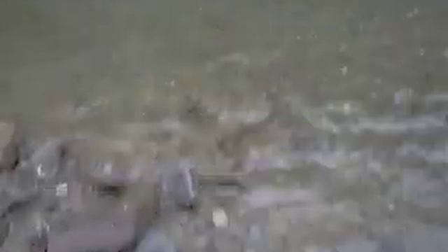 В брод с велосипедами,через Буркут 2009 год. смотреть онлайн