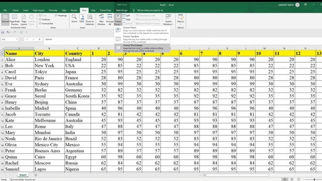 How to Freeze Rows and Columns in Excel Using Freeze Panes - Excel tutorial -chapter 12 смотреть онлайн