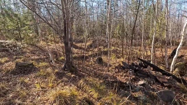 ОХОТА НА БЕЛКУ И СОБОЛЯ. ТАЁЖНЫЙ БЫТ: ЗАГОТОВКА ДРОВ, ПРИГОТОВЛЕНИЕ ДОБЫЧИ. смотреть онлайн