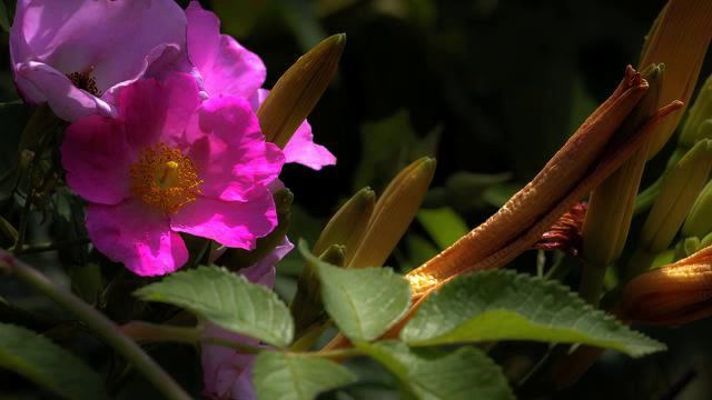 Самые новые хиты музыки и видео в хорошем качестве смотреть онлайн