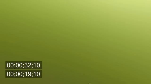 Подводная охота на сазана на КВХ залежке 27.09.2014 смотреть онлайн