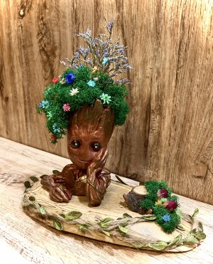 Флористическая композиция «Кашпо малыш Грут»