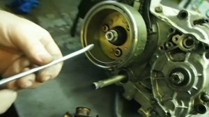 роторы генератора мопеда альфа