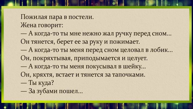 АНЕКДОТЫ *Как правильно не отдавать долги и как научить кошку готовить* смотреть онлайн