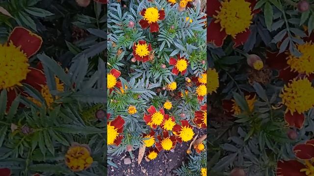 2 часть. Простые упражнения для начинающих свой путь в духовном развитии. смотреть онлайн