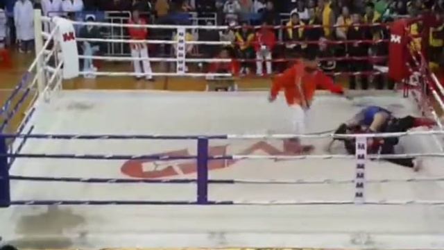 Wing Chun vs Sanda(Вин Чун против Саньда))) смотреть онлайн