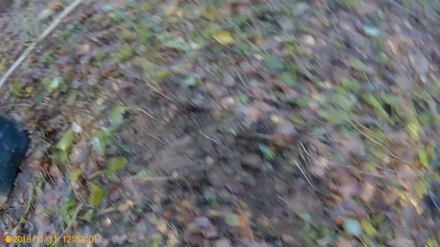 КОП в лесу.Чудо поляна с кучей монет.Металлоискатель Фортуна М3 .Осень 2018. смотреть онлайн