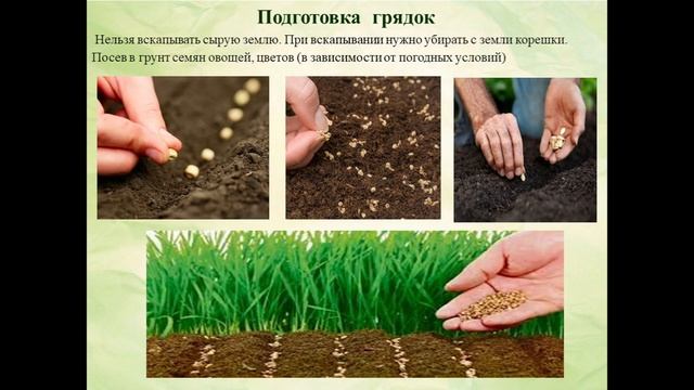 Основные направления растениеводства Весенние работы в растениеводстве смотреть онлайн