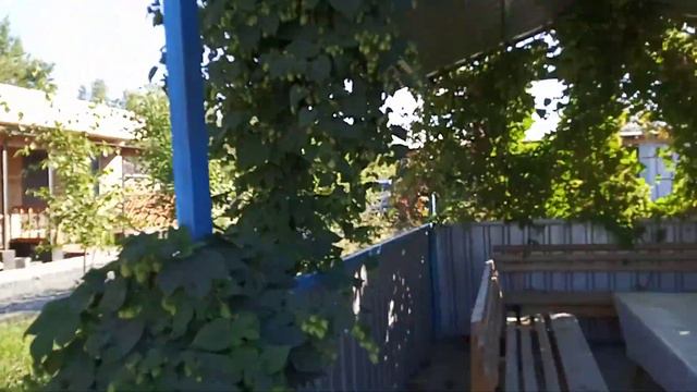 🏖АЛАКОЛЬ 🌅База отдыха Нурай.💥Места бронируйте заранее по вацап 8-705-433-71-97 #алаколь #alakol смотреть онлайн