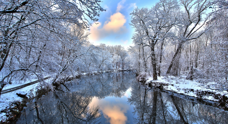 Река со снегопадом. Расслабляющие звуки ✦ Birdsong ✦ Sounds Of The Forest смотреть онлайн