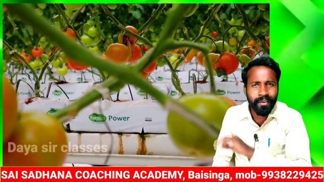 type of utility, upajogita ra prakarabheda ,daya sir classes, economics,+2, +3 students in odia смотреть онлайн