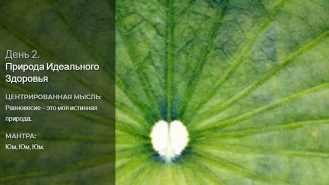 2 день - Природа Идеального Здоровья (ИДЕАЛЬНОЕ ЗДОРОВЬЕ Дипак Чопра)