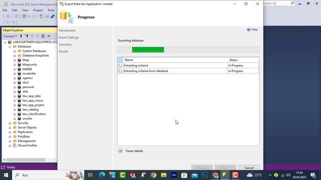 Microsoft SQL Server Management Studio Veritabanı Dışa / İçe Aktar смотреть онлайн