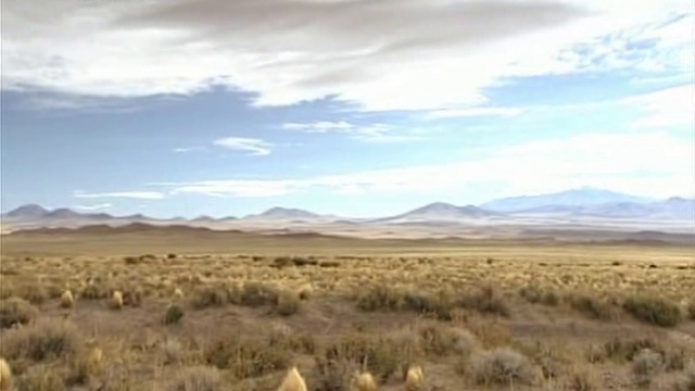 16 серия смотреть онлайн