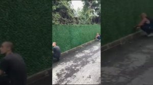 Травяной забор Jidar Fence на разных объектах