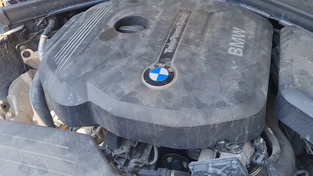 BMW 118i B38 Engine Bad Startup Sound - Bad SparkPlugs?