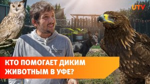 Орел-могильник, львенок и совы - кто их лечит в Уфе?