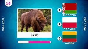 УГАДАЙ СТРАНУ ПО НАЦИОНАЛЬНОМУ  ЖИВОТНОМУ