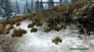 Skyrim прохождение [60FPS] Серия №57: «Белый Берег: Зачистка» (Часть 1)